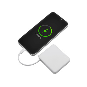 Внешний аккумулятор со встроенным кабелем USB-C «Дэнси», 5000 мАч, белый OA-590160.06 фото 4