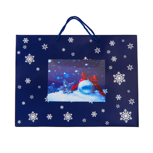 Пакет малый BLUE WONDER размер 32 x 27 x 11 см синий HG-24502/24 фото 1