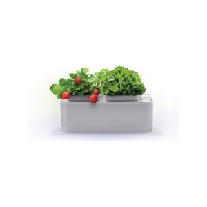Компактный смарт-сад iGarden белый, серый