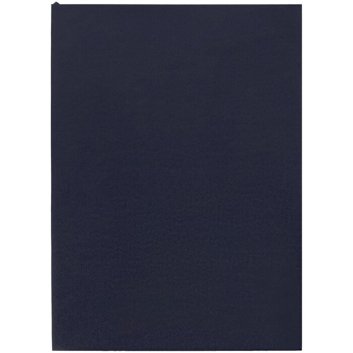 Ежедневник Flat Light, недатированный, иссиня-черный G-17876.30 фото 1