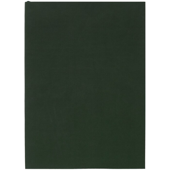 Ежедневник Flat Light, недатированный, зеленый G-17876.90 фото 1