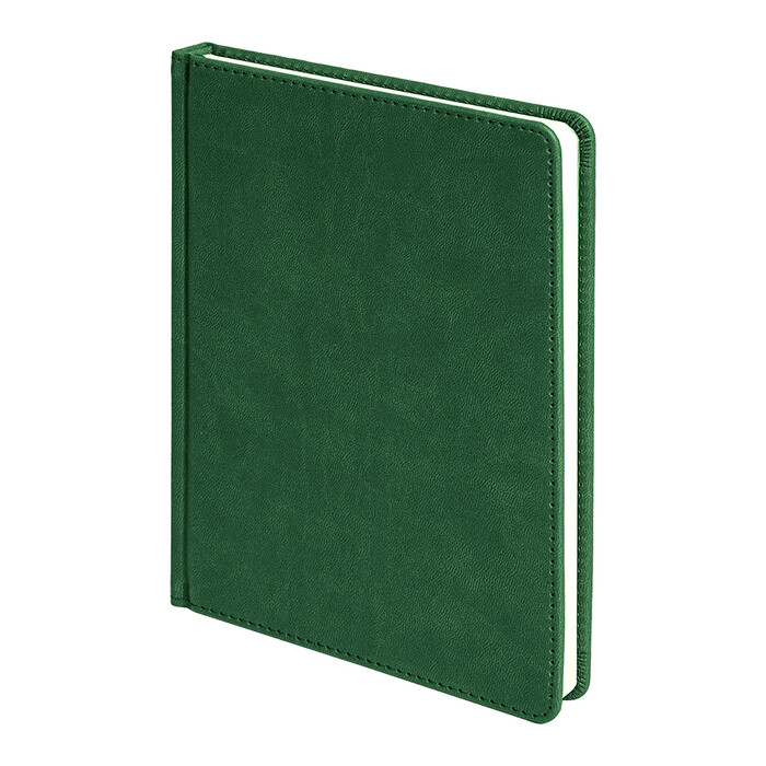 Ежедневник недатированный BLISS, формат А5, в линейку темно-зелёный HG-24601/17 фото 1