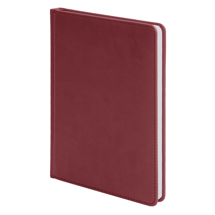 Ежедневник недатированный CAMPBELL, формат А5, в линейку бордовый HG-24605/13 фото 1